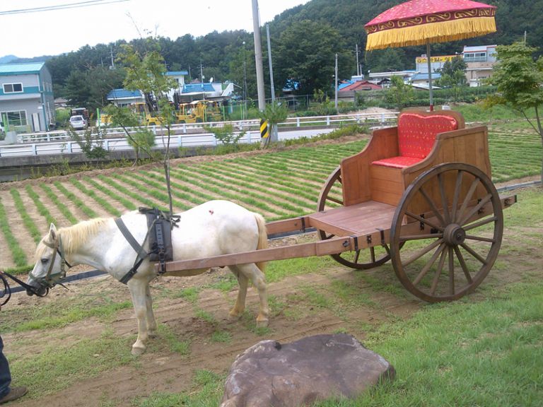 왕마차(고구려)